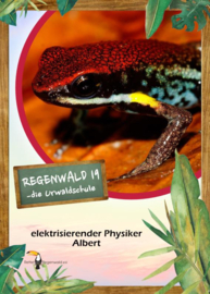 Opal Regenwald 11331