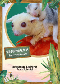 Opal Regenwald 11332