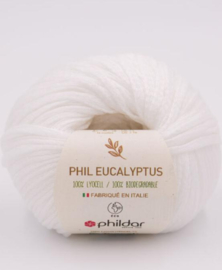 Phildar Eucalyptus Blanc