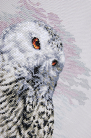 TELPAKKET KIT SNOWY OWL