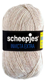 Scheepjes Invicta Extra 1344