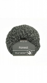 durable-forest-4013