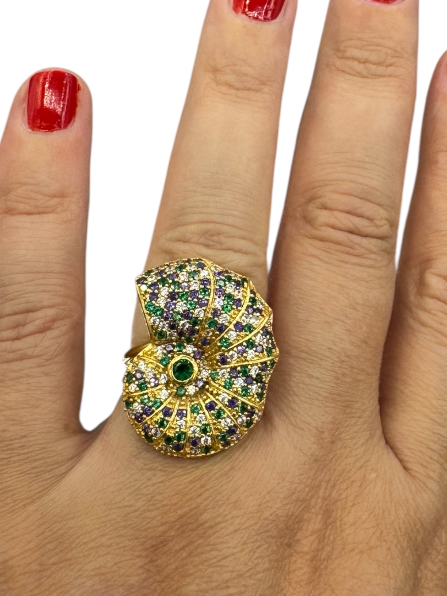 Ring zirconia’s nautilus