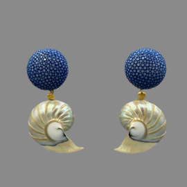 Roggenleer en nautilus shells