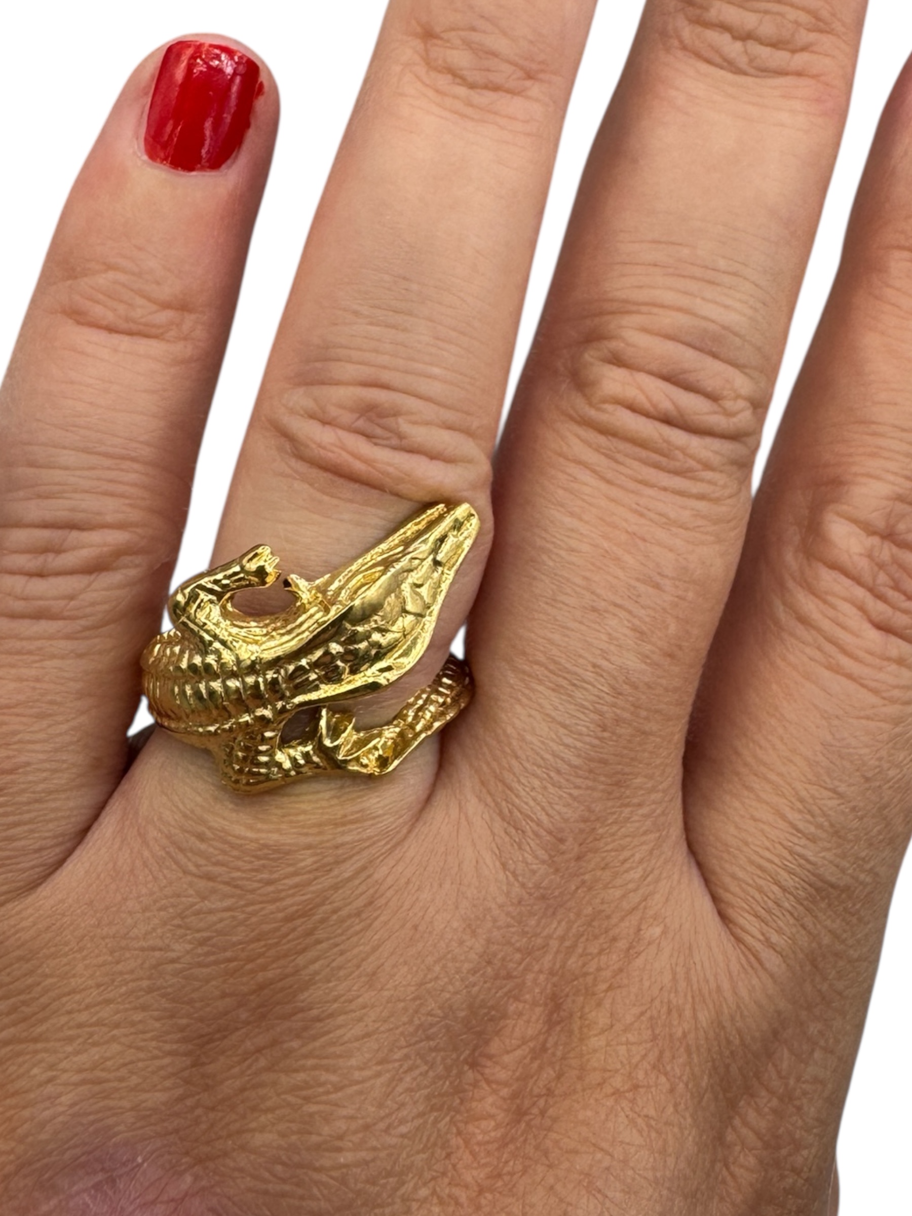 Ring reptiel