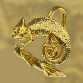 Ring kameleon