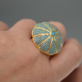 Ring sea urchin turquoise