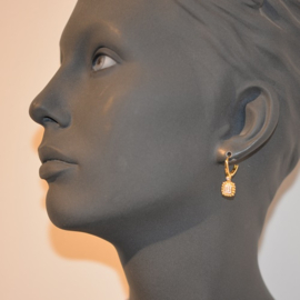 Vermeil oorbellen zirconia's