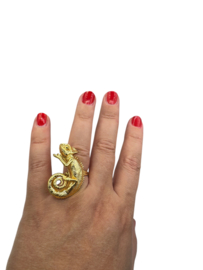 Ring kameleon