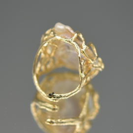 Ring parel