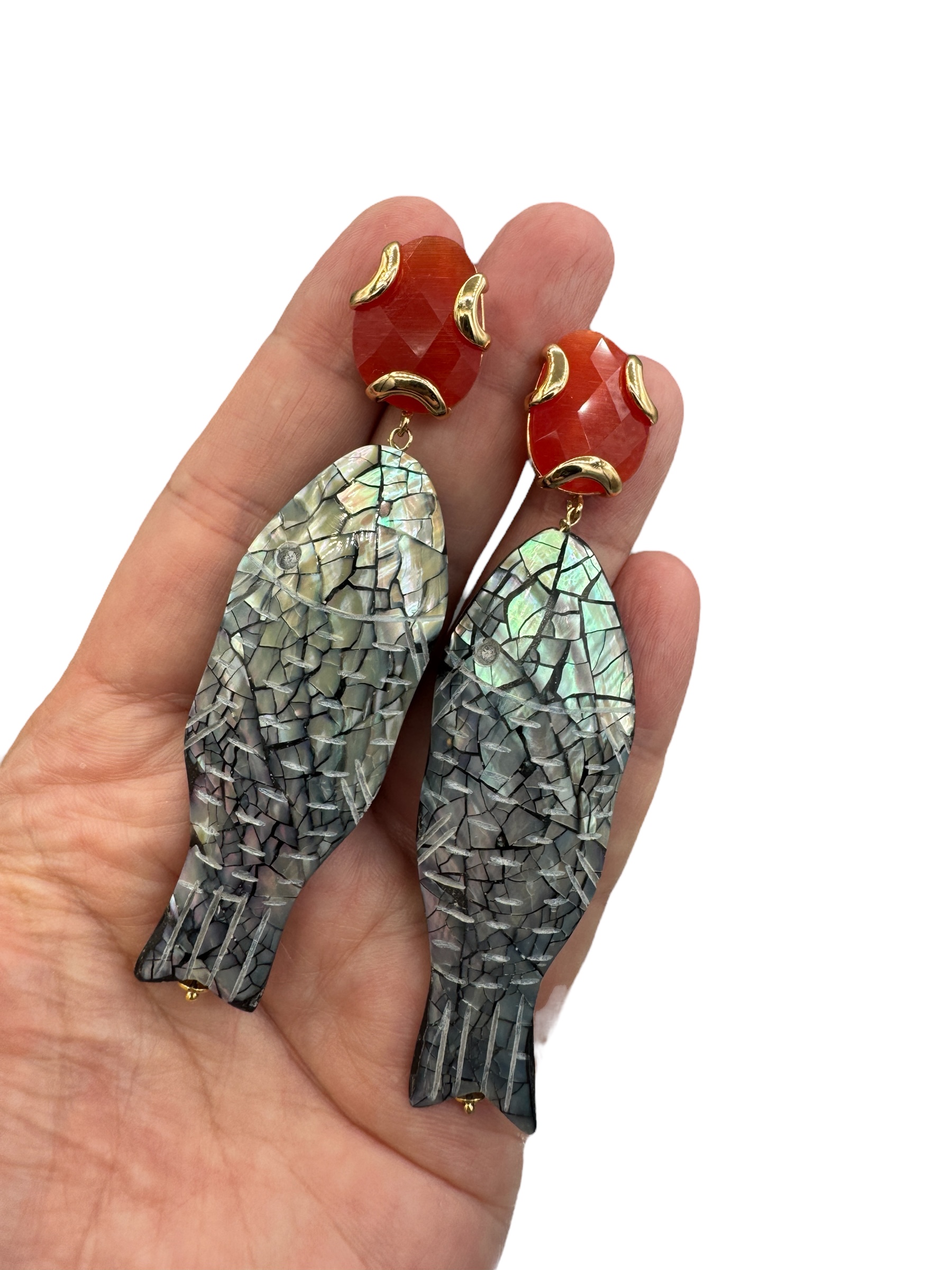 Abalone statement fish