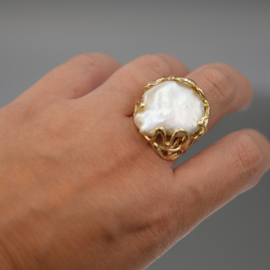 Ring parel