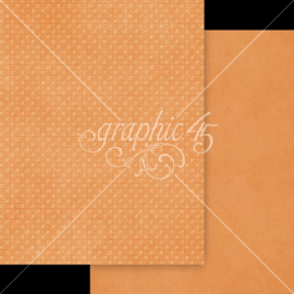 Graphic 45 Scenic Route 8,5x11 Inch Patterns & Solids Pack