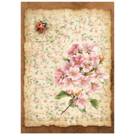 Stamperia All Around Rice Paper A6
