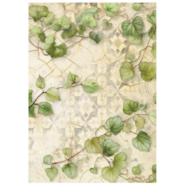 Stamperia All Around Rice Paper A6 Backgrounds