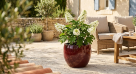 Keramiek plantenbak 'Ily'   glazuurlaag rood Ø56x H56 cm