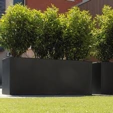 Polyester plantenbak `Oblong` 150x50x60cm