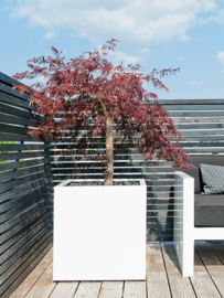 Vierkante plantenbak `Bologna`. Afmeting: L70 x B70 x H70 cm. Kleur: Shiny White