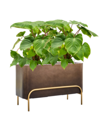 Kunststof plantenbak op poten 'Gambe' L 82 x B 34 x H 51 cm | Coffee