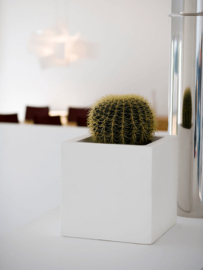 Kunststof design plantenbak 'Cub' L80 x B80 x H80 cm