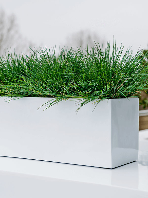 Hoogglans polyester plantenbak langwerpig 'Mirror' 50x20x20 cm