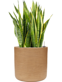 Ronde Fiberclay bloembak 'Sandflow' | kleur: Brown Beige | Ø 44 x H 44 cm