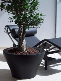 Kunststof design plantenbak 'Pietro' H 38 x B 60 cm