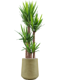 Ronde Fiberclay bloembak 'Sandflow' | kleur: Green | Ø 49 x H 55 cm