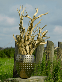 Keramiek plantenbak  'Lucia' glanzend goud D64 x H80 cm