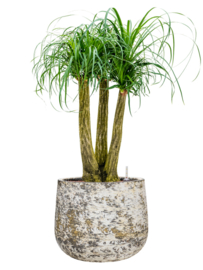 Ronde plantenbak 'Andes Cone' | Ø65 x H50 cm | Gemêleerd wit | Weerbestendig voor binnen en buiten