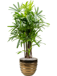 Keramiek plantenbak 'Anne-Belle'  glanzend goud Ø56 x H50 cm