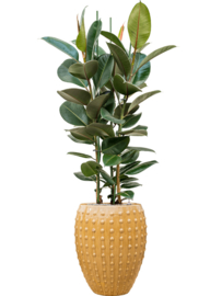 Keramiek plantenbak  'Lucia' glanzend geel Ø44 x H55 cm