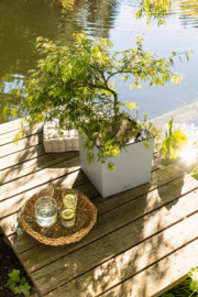 Stonelook plantenbak Quartzwhite met verlichting + bewateringssyteem 40x40x41 cm