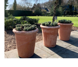 Handgemaakte Terracotta bloempot `Vaso Monica` Ø50xH53