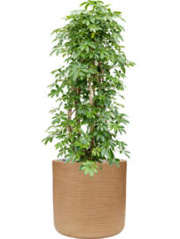 Ronde Fiberclay bloembak 'Sandflow' | kleur: Brown Beige | Ø 53 x H 52 cm