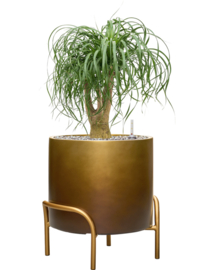 Kunststof plantenbak op poten 'Gambe' Ø 40 x H 43 cm | Honey