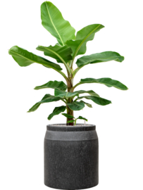 Moderne Fiberclay plantenbak 'Rainfall' | kleur: Antraciet | Ø 52 x H 48 cm