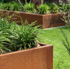 CorTenstaal plantenbak 'Premium' zonder bodem 200x200x80 cm