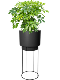 Elegante ronde kunststof bloempot 'Giorgia' op pootjes H69xØ29.5 cm