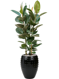 Keramiek plantenbak  'Lucia' glanzend zwart D54 x H67 cm