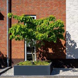 Polyester plantenbak vierkant 'Titan' 200x200x40cm