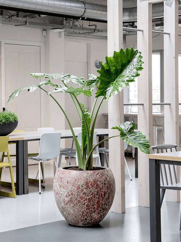 Keramiek plantenbak gemeleerd red lava Ø60 x H55 cm
