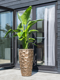 Keramiek plantenbak  'Honey' goudkleurig Ø43 x H75 cm