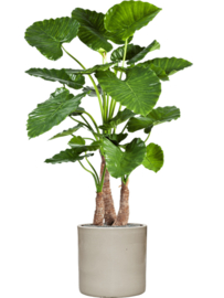 Keramiek schaal 'Florine'  glanzend wit Ø40 x H40 cm