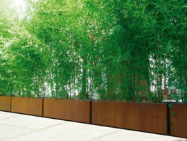 Cortenstaal plantenbak rechthoek 'Premium' zonder bovenrand 90 x 60 x 60 cm