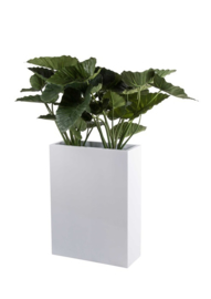 Rechthoekige Fiberstone plantenbak L56 x B23 x H76 cm. Kleur: Shiny White