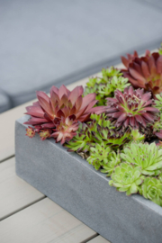 Vierkante stonelook plantenbak `Garland` Afmeting: L100 x B100 x H25 | Kleur: Grey Stonelook