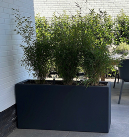 Polyester plantenbak rechthoekig 'Titan' 120x30x50 cm