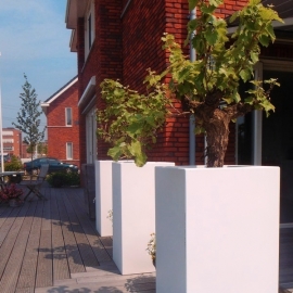 Polyester plantenbak `Oblong` 50x50x120 cm