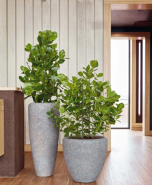 Natuurlijke plantenbak 'Twig Tub' | Biologisch afbreekbare plantenbak Ø 50 x H 50 cm